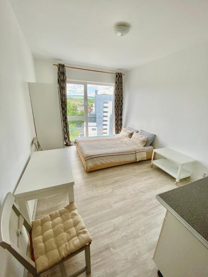 Cozy Studio Near The Center Of Cluj מראה חיצוני תמונה